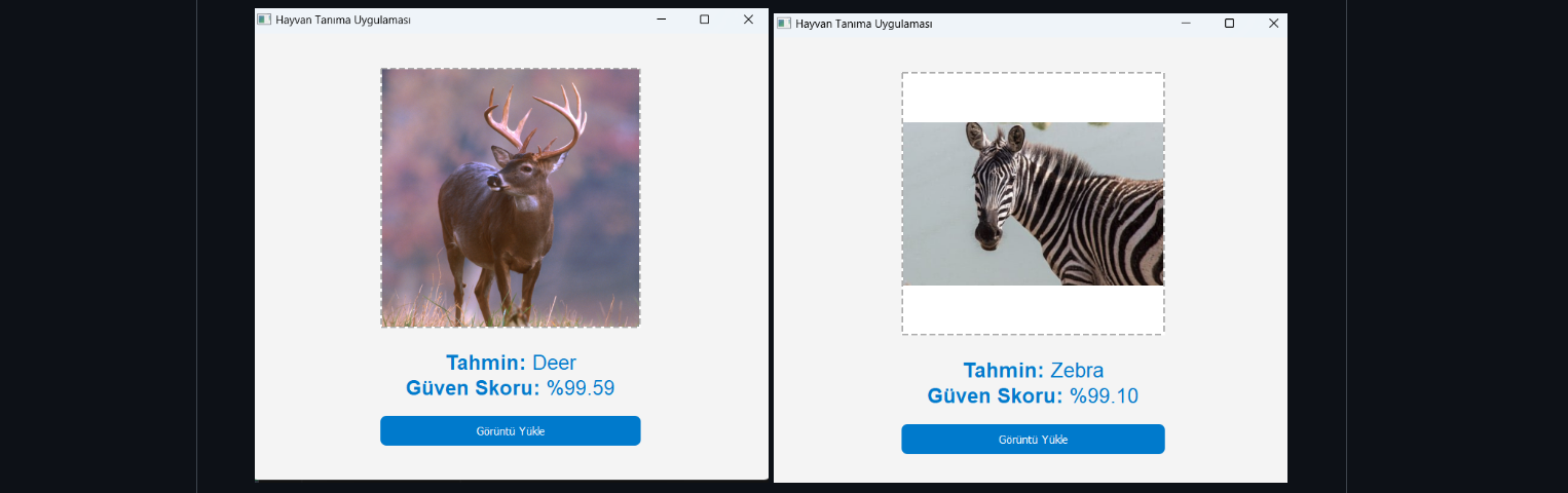 Multi Zoo Classifier